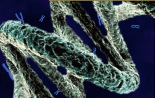 ΘΕΜΑΤΑ ΒΙΟΛΟΓΙΑΣ ΠΡΟΣΑΝΑΤΟΛΙΣΜΟΥ