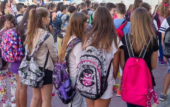 Προεδρικό Διάταγμα για την λειτουργία των Νηπιαγωγείων και των Δημοτικών Σχολείων