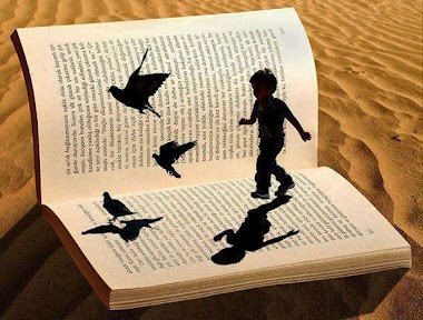 Παιδεία και εκπαίδευση! Ποια είναι η διαφορά τους;