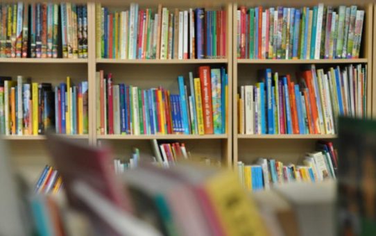 Εκπαίδευση και σχολικές βιβλιοθήκες