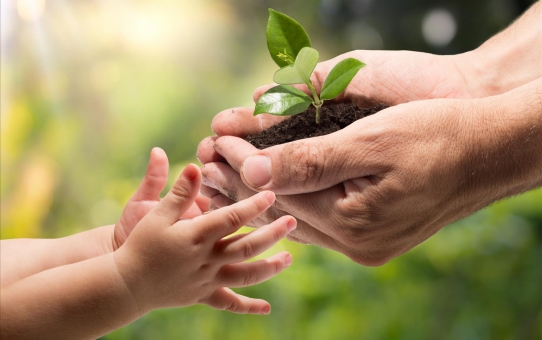 Διδάξτε στα παιδιά σας την αγάπη και τον σεβασμό προς το περιβάλλον
